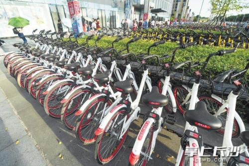 昨日下午，在開(kāi)福區(qū)萬(wàn)達(dá)廣場(chǎng)，成片的共享單車(chē)停放在廣場(chǎng)前坪。 長(zhǎng)沙晚報(bào)記者 黃啟晴 攝