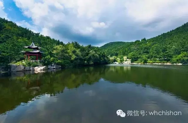 花期已過葉還未紅 去赤山賞云吧！