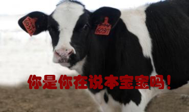 關(guān)我什么事！