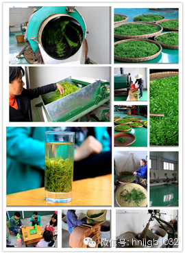 制茶的工藝真地道，仿佛聞到了茶香