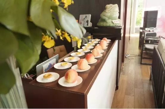 水果、飲料、點(diǎn)心等冷餐自助持續(xù)供應(yīng)滿(mǎn)足嘉賓的胃和味蕾