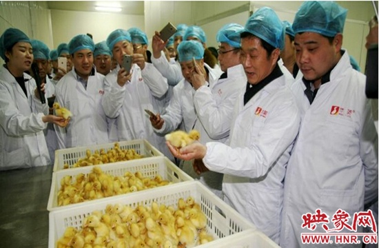 百名滬商看信陽活動圓滿成功 百名滬商看信陽活動圓滿成功