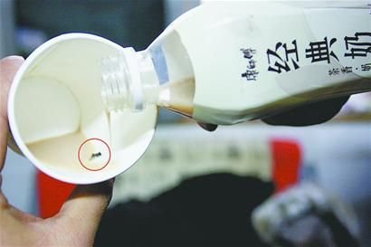 田先生喝的經(jīng)典奶茶中有一只蒼蠅。