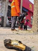 老漢右腿燒傷，樹下扔了一只燒焦的鞋