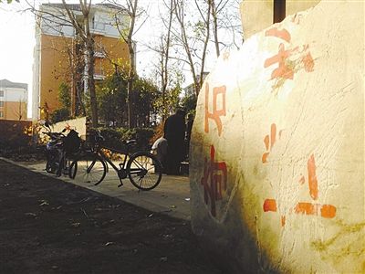 昨日，“上海奇石盆景博物館”原址上，已矗立起小區(qū)樓盤，而刻著博物館名的巨石，廢棄在一旁。本版圖片/新京報(bào)記者 張永生 攝