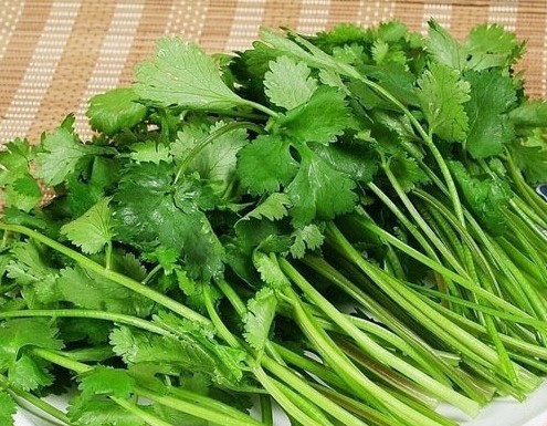 微博票選“最討厭吃的菜” 香菜近萬(wàn)票當(dāng)選 微博票選“最討厭吃的菜” 香菜近萬(wàn)票當(dāng)選