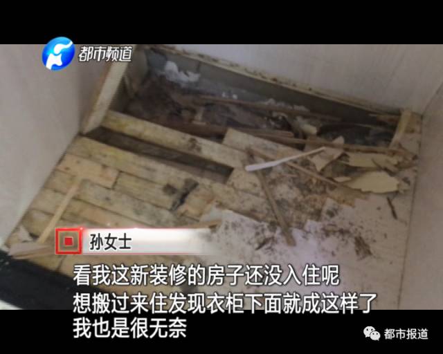 蟻族大軍入侵！十幾萬裝修的新家被“吃掉”