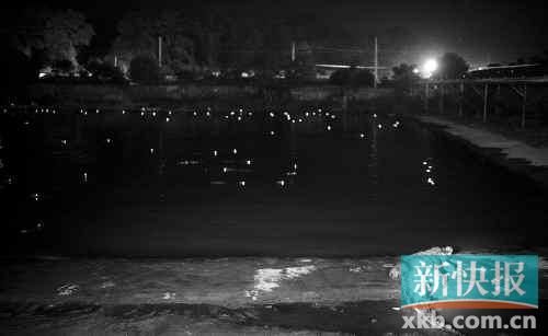 昨日，西湖村鱷魚養(yǎng)殖場已修復(fù)圍欄。