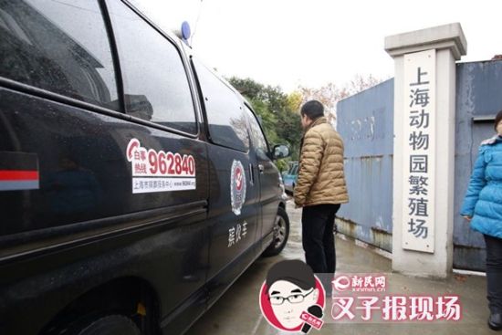 殯葬車到達(dá)現(xiàn)場。新民網(wǎng) 記者 蕭君瑋 攝