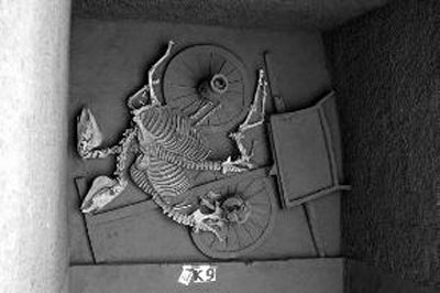 涇陽(yáng)發(fā)現(xiàn)376座古墓還有6座車馬坑 涇陽(yáng)發(fā)現(xiàn)376座古墓還有6座車馬坑