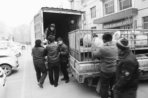 　　■返還追回的被搶綿羊。 本報記者董世杰攝