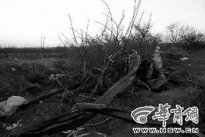 任云鵬殺人拋尸的枯井 本組圖片由本報記者 王警 攝 任云鵬殺人拋尸的枯井 本組圖片由本報記者 王警 攝