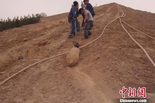　4月27日上午，當(dāng)?shù)卮迕裨诠系販洗逡痪G化處挖出一枚長1米，重200斤的炸彈，5月10日，這枚炸彈已