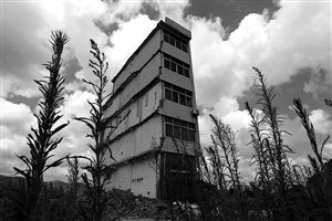 這幢5層的“片片樓”周圍已是一片拆遷后的廢墟，左邊的一堵墻上，不少鋼筋裸露在外面 圖片來源：新華網(wǎng)