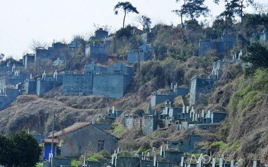 浙江紹興墓群為復(fù)綠遭刷綠漆 當(dāng)?shù)胤Q(chēng)因難種樹(shù)