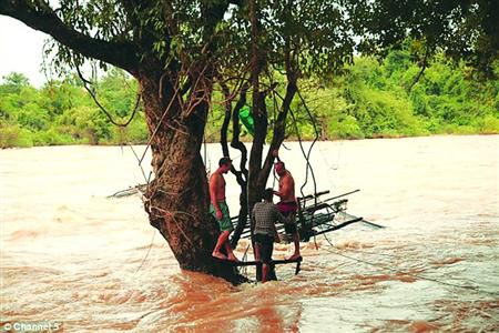 蓋屋、種菜，“從沒這樣快樂”