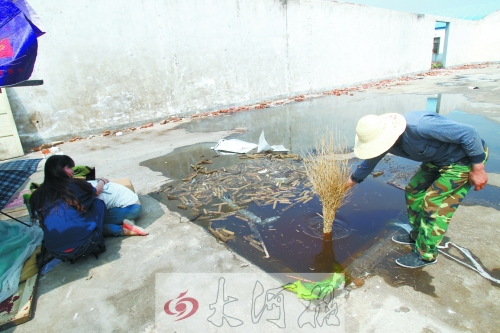 小孩兒就是掉到這個(gè)水坑里溺亡的 小孩兒就是掉到這個(gè)水坑里溺亡的