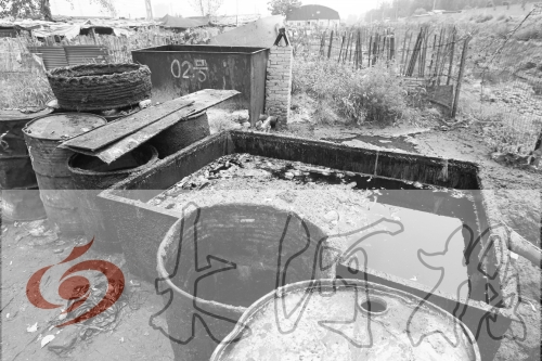 　　骯臟、令人作嘔的油桶凌亂地擺放在院子里，為了避免視覺刺激，我們把它做成了黑白圖片。