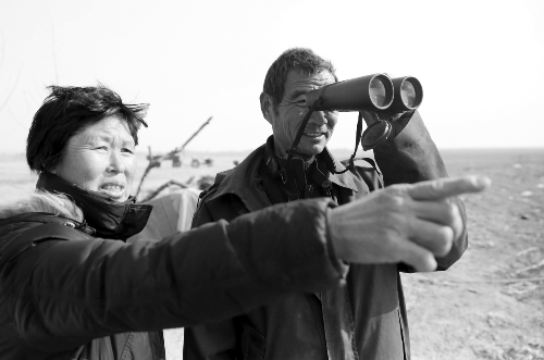 　　李合法夫婦在觀察國家一級保護動物大鴇