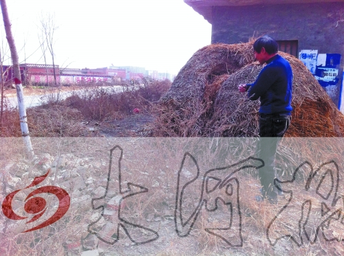 張哥、張弟就是在這兒撿到的投毒面包。