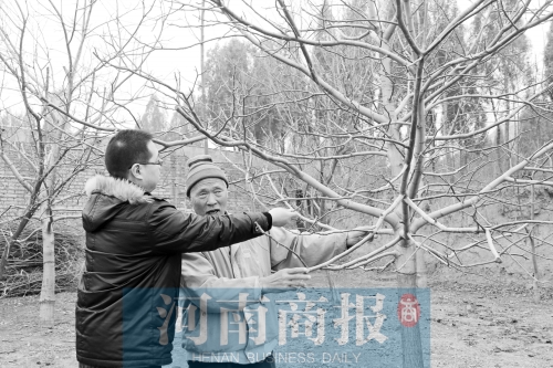 老人領著來訪者來看他親手種的樹,他雖然眼睛看不見,但能用手摸到樹的成長 記者 唐韜/攝 老人領著來訪者來看他親手種的樹,他雖然眼睛看不見,但能用手摸到樹的成長 記者 唐韜/攝