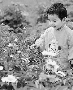 　春光里,鄭州處處皆美景。