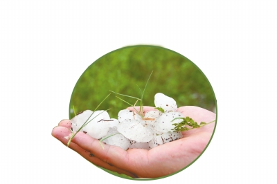 冰雹化了一些,還有這么大。