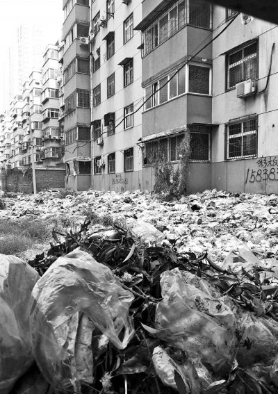 透過擋板縫向內(nèi)看，30多米垃圾已經(jīng)將居民樓包圍。