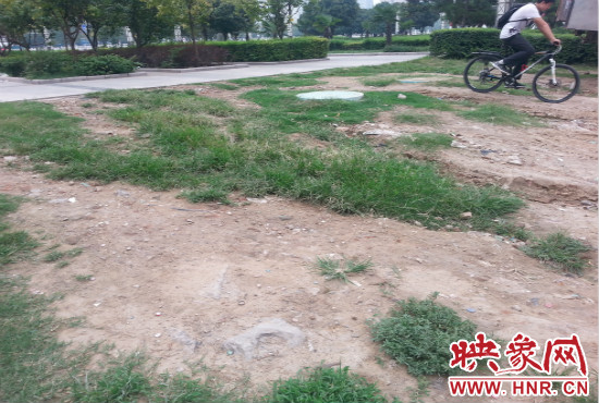 公園內(nèi)大片草坪遭到破壞。