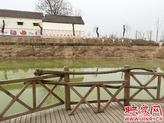 護欄損毀的地方，已經(jīng)被兩根樹干擋住。