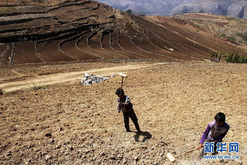 3月16日，在貴州省畢節(jié)市威寧縣斗古鄉(xiāng)中關(guān)村，兩個(gè)孩子幫助家人在干旱的土地上勞動(dòng)。