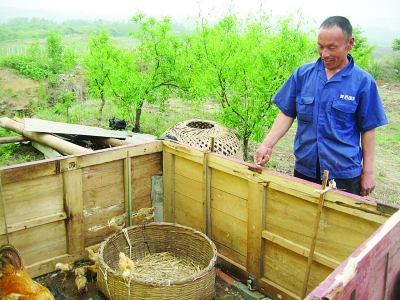 弟弟趙文富向記者介紹他們養(yǎng)雞的地方。