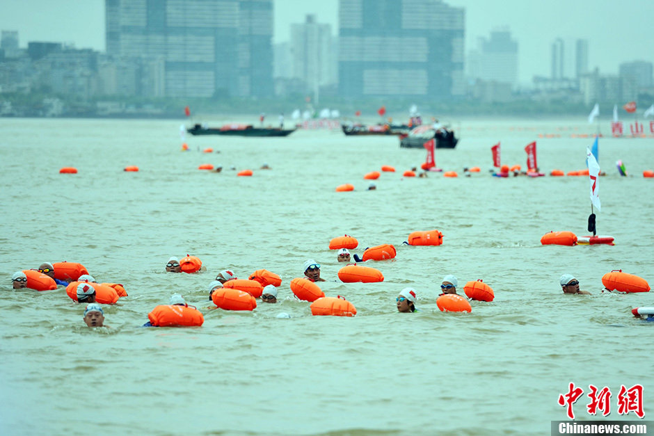 圖為江面上的橫渡方隊里的選手們劈波斬浪。中新社發(fā) 張暢 攝