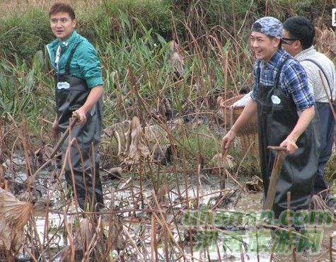 爸爸去哪兒？親密接觸荷花仙子