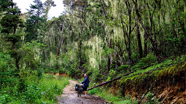 度個最特別的冬天 盤點12月最佳出游地 度個最特別的冬天 盤點12月最佳出游地