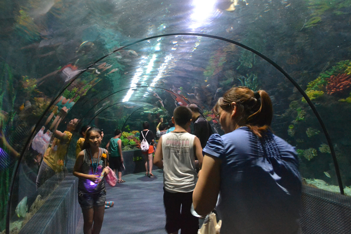 春節(jié)去哪兒？出游地圖告訴您！