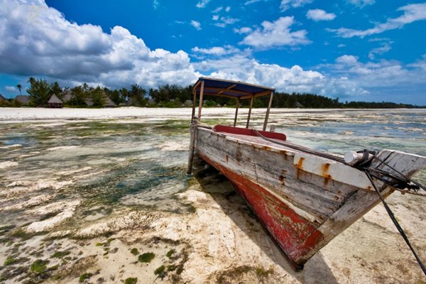 桑給巴爾海岸.jpg