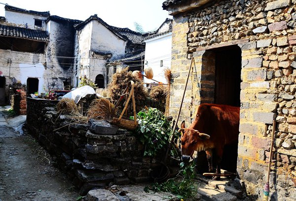 10大古村落，見(jiàn)證鶴壁舊時(shí)光