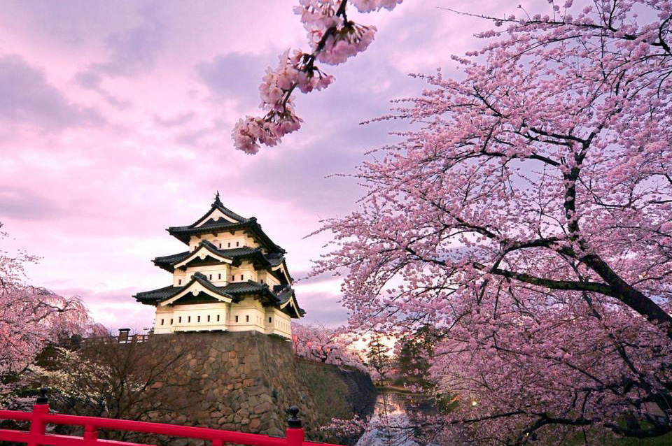 出行去哪兒不用愁 細(xì)數(shù)全球春季實惠旅行地