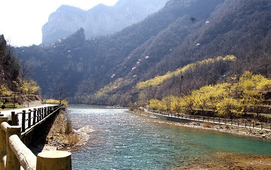 有一種呼喚，叫春天里的蟒河！