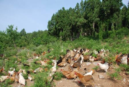 旅游真奇妙 這些事你知道嗎？