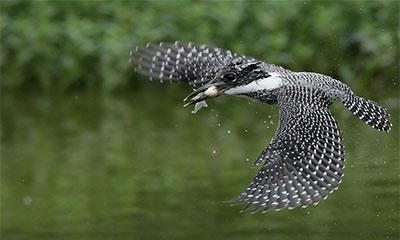 手把手教您玩轉信陽十大美景 手把手教您玩轉信陽十大美景