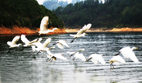 考完去哪兒？千島湖中、高考生門票大優(yōu)惠！