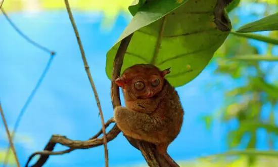 適合在冬天旅游的十個絕美海島！