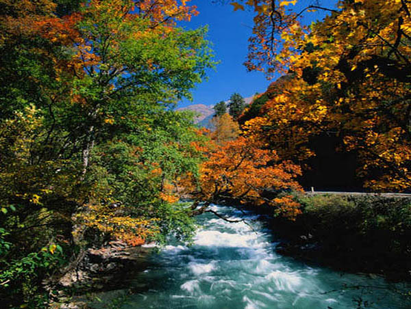 長白山豐林保護(hù)區(qū) 長白山豐林保護(hù)區(qū)