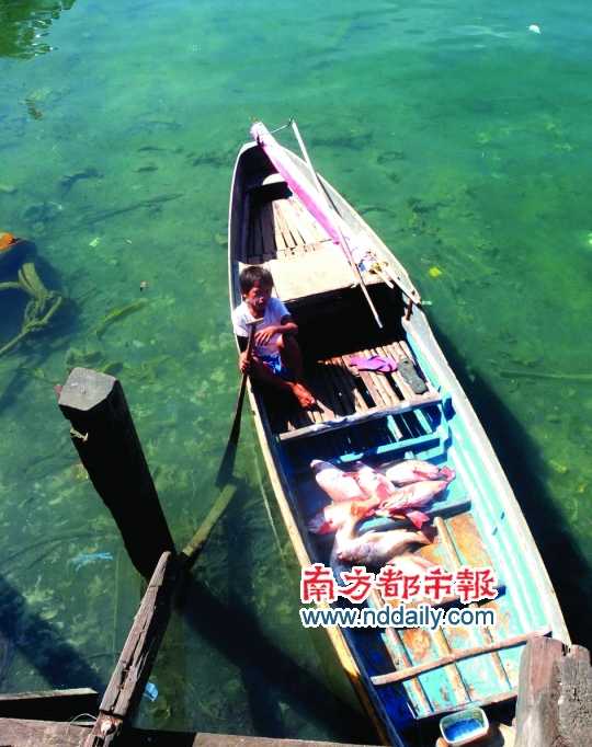 漁船上的孩子。