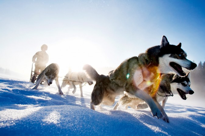 冬季貝加爾,適合享受冰上運動,狗拉雪橇、雪上摩托車、雪地徒步等都是不錯的選擇 F5.6,1/115秒