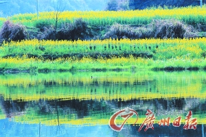 　　江嶺梯田落差不大,但有花有水。