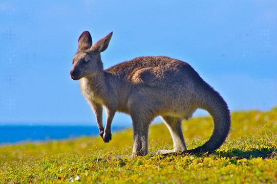 全家出國(guó)游去哪里？推薦十佳旅游勝地