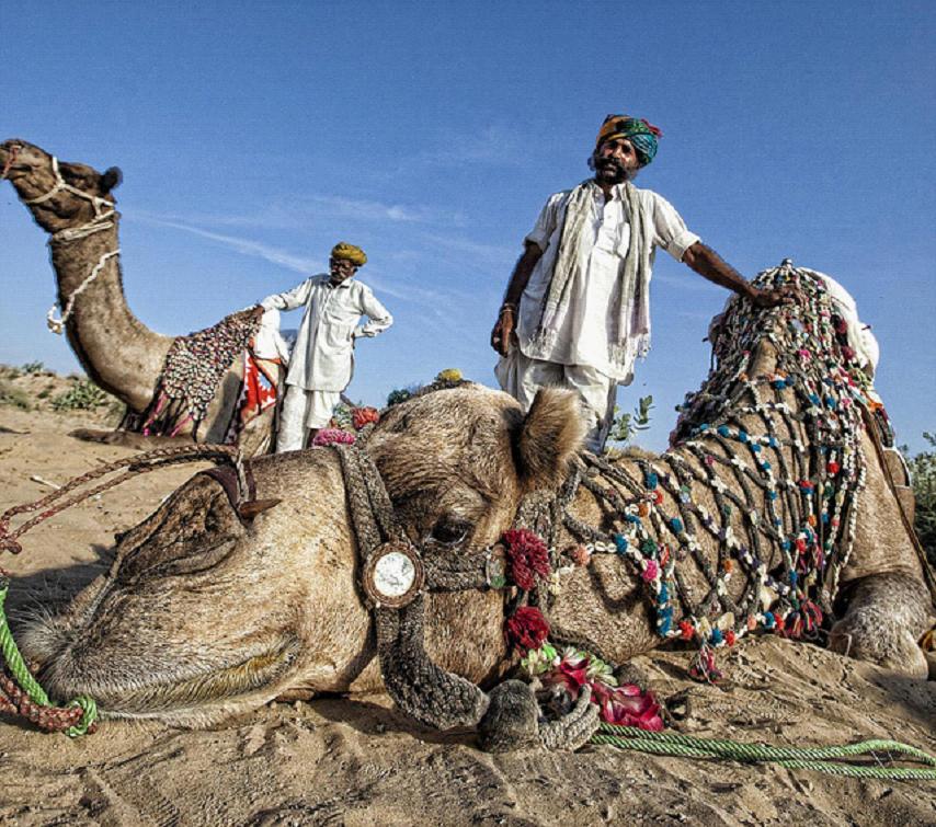 全家出國(guó)游去哪里？推薦十佳旅游勝地